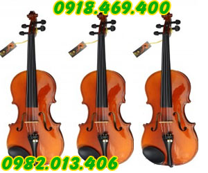 Những lợi ích khi học đàn violon, violin